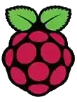 Raspberry Pi logo